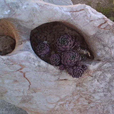 Bogunovic Apartamento *